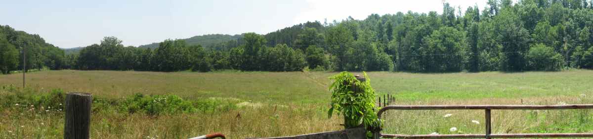 Hackworth Farm left and right